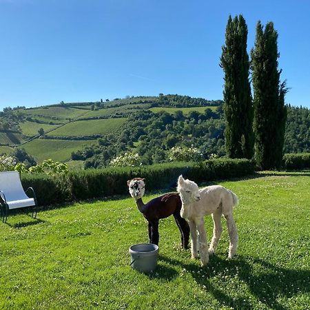 Villa Rignana Chianti Estate, Pool, Tennis,Cook Greve in Chianti Luaran gambar