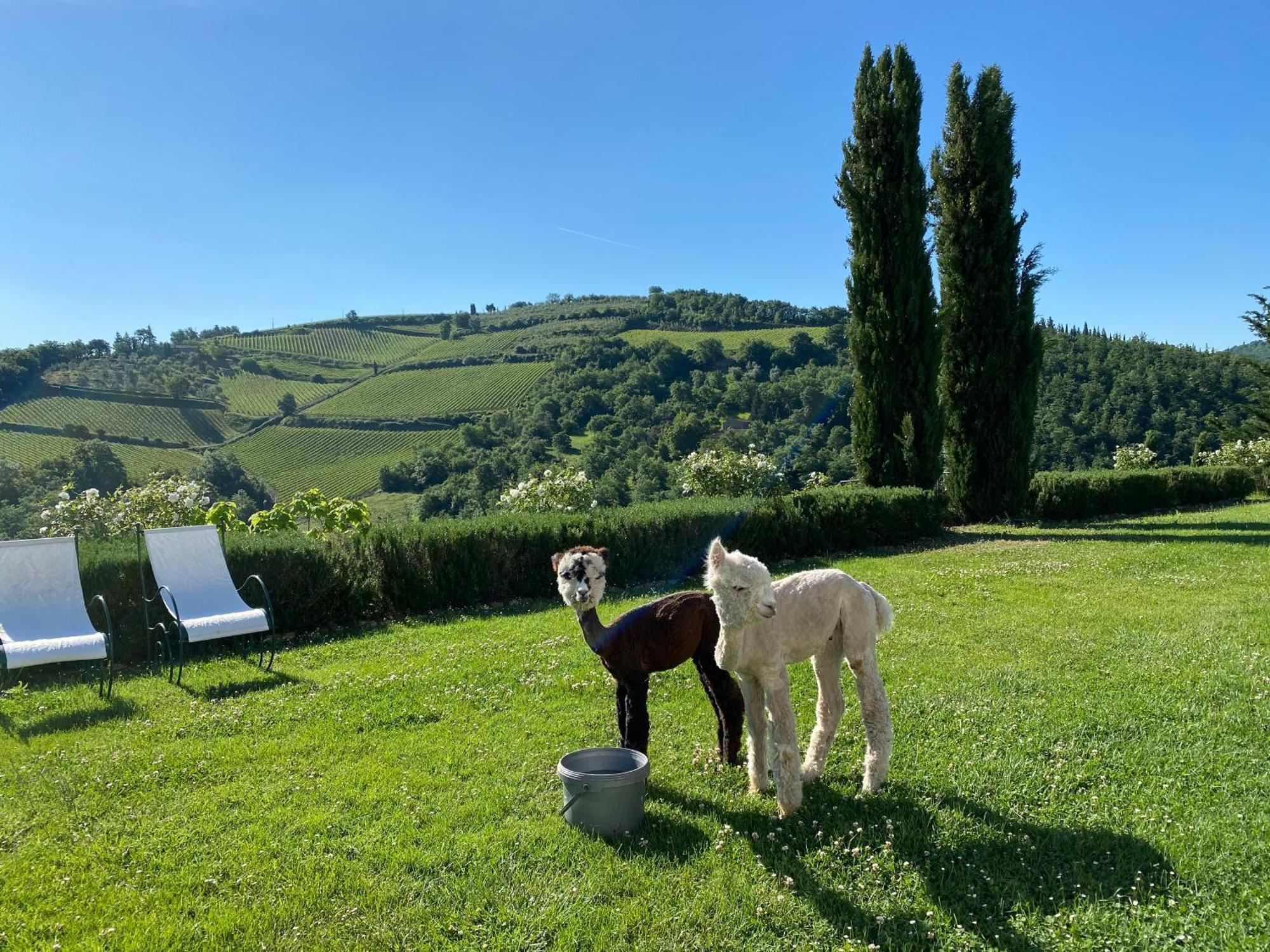 Villa Rignana Chianti Estate, Pool, Tennis,Cook Greve in Chianti Luaran gambar